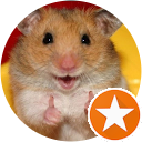 Loulou Avatar